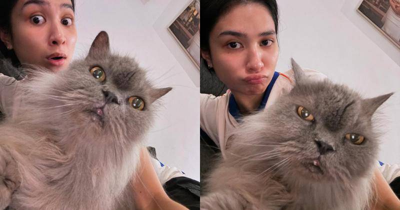 Instagram.com/mahenracats
